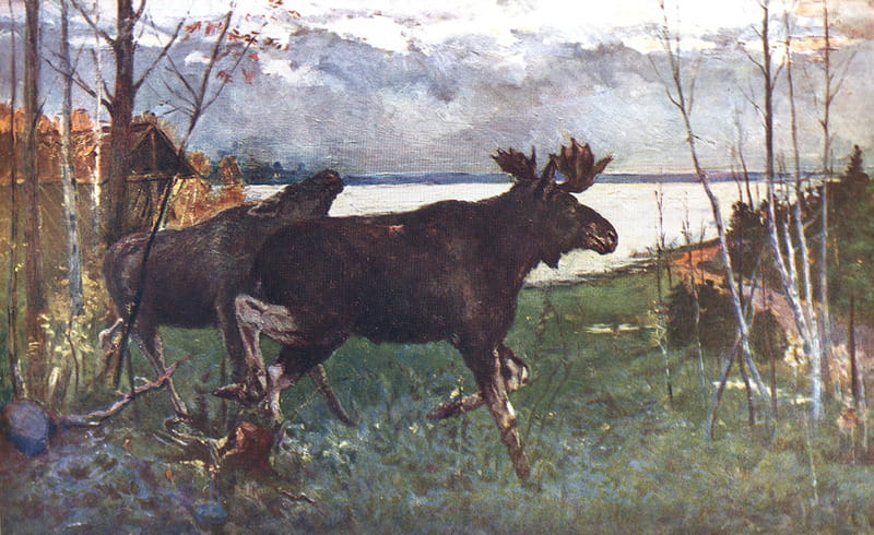 Матвей Беленицкий, «Беловежская пуща. Лоси», 1958
